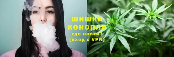 метадон Богданович